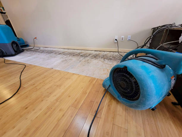 Professional Flood Damage Cleanup technician working in Perryville, AR